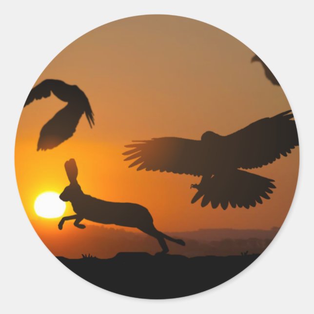 Harris Hawks Classic Round Sticker (Front)