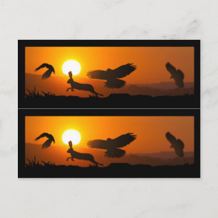 Harris Hawks Hunting Book markers Postcard