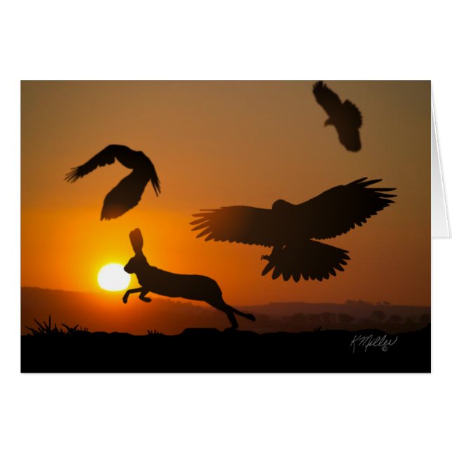 Harris Hawks Hunting card (Front Horizontal)