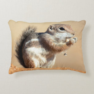 Harris's antelope squirrel (Ammospermophilus) Decorative Pillow