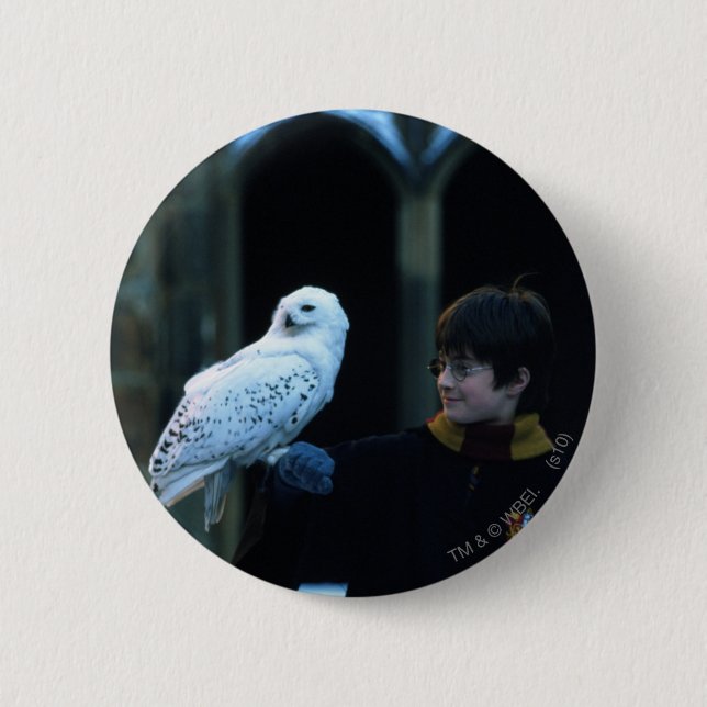 Harry and Hedwig 2 2 Inch Round Button (Front)