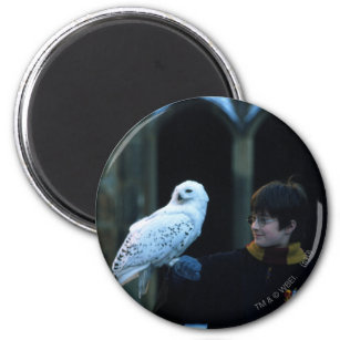 Harry and Hedwig 2 Magnet