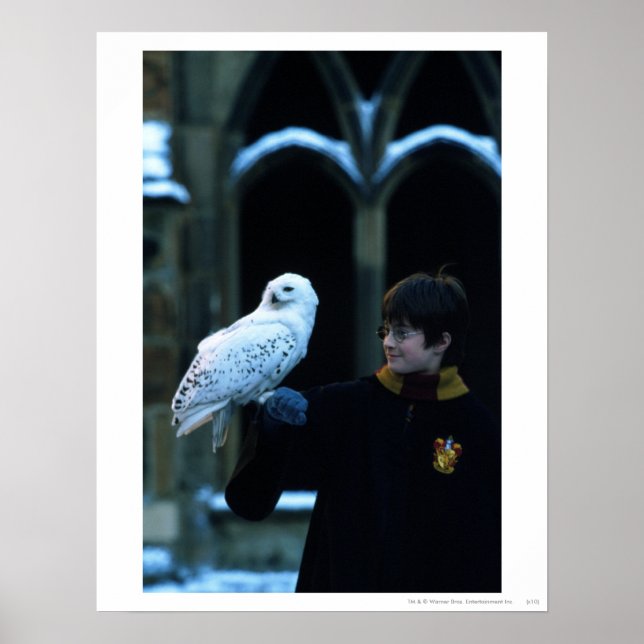 Harry and Hedwig 2 Poster (Front)