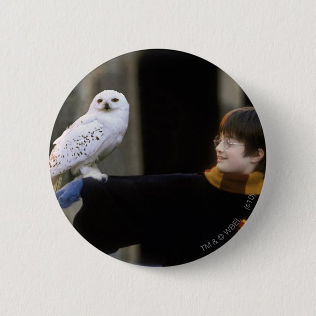 Harry and Hedwig 3 2 Inch Round Button (Front)