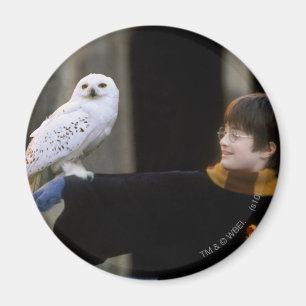 Harry and Hedwig 3 Magnet