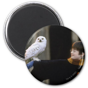 Harry and Hedwig 3 Magnet