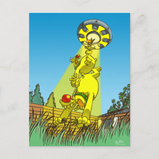 Harry and Henry's abduction postcard