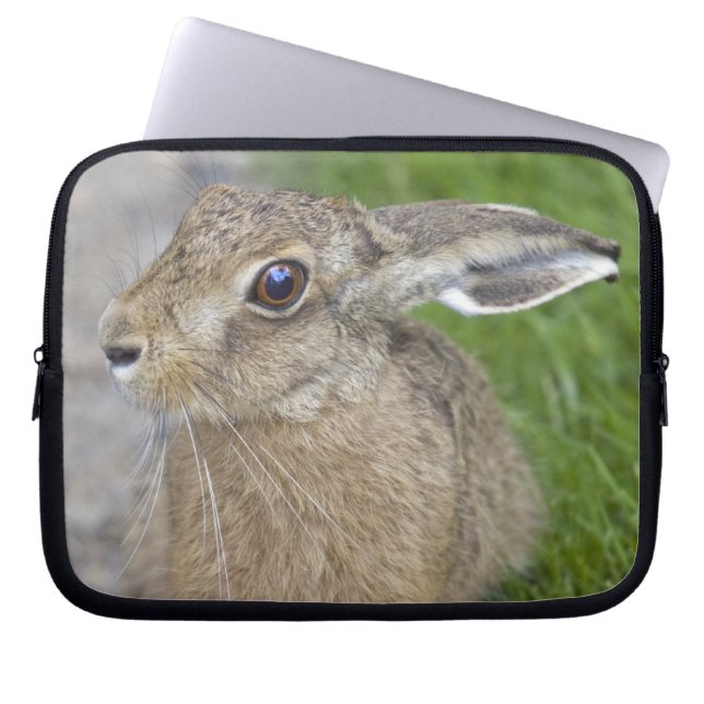 Harry Hare Laptop Sleeve (Front)