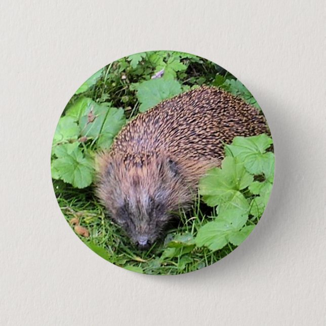 Harry Hedgehog 2 Inch Round Button (Front)