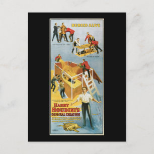 Harry Houdini, Buried Alive Vintage Poster, 1914 Postcard