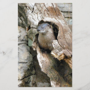 Harry Otter Stationery