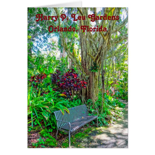 Harry P. Leu Botanical Gardens Orlando Florida (Front)
