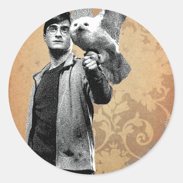 Harry Potter 12 Classic Round Sticker (Front)