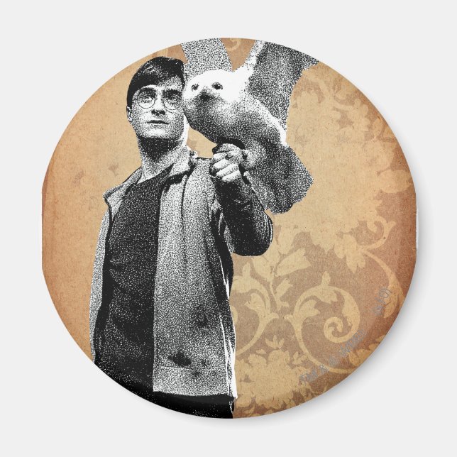 Harry Potter 12 Magnet (Front)