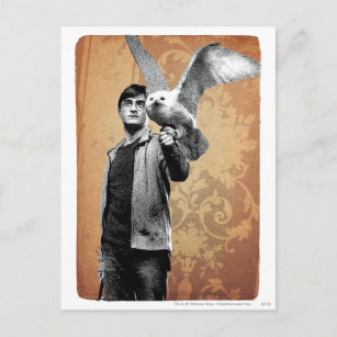 Harry Potter 12 Postcard