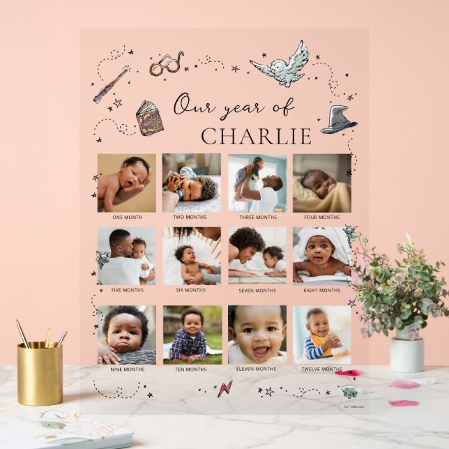 Harry Potter 1st Birthday - 12 Month Photo Collage Acrylic Sign (Wedding)