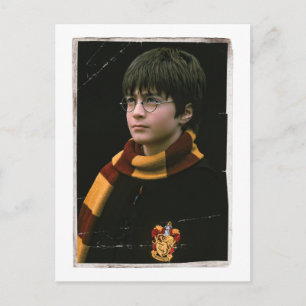 Harry Potter 2 Postcard