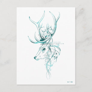 Harry Potter   Aguamenti EXPECTO PATRONUM™ Stag Postcard