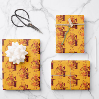 Harry Potter | Aguamenti GRYFFINDOR™ Graphic Wrapping Paper Sheet