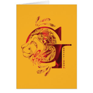 Harry Potter   Aguamenti GRYFFINDOR™ Graphique