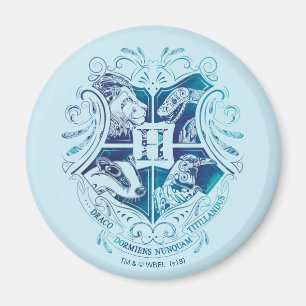 Harry Potter   Aguamenti HOGWARTS™ Crest Magnet