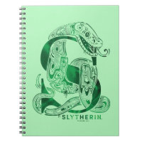 Harry Potter | Aguamenti SLYTHERIN™ Graphic