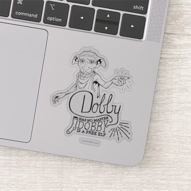 Harry Potter | Dobby Has No Master (Detail)