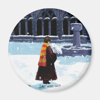 HARRY POTTER™ & Hedwig in HOGWARTS™ Courtyard Magnet