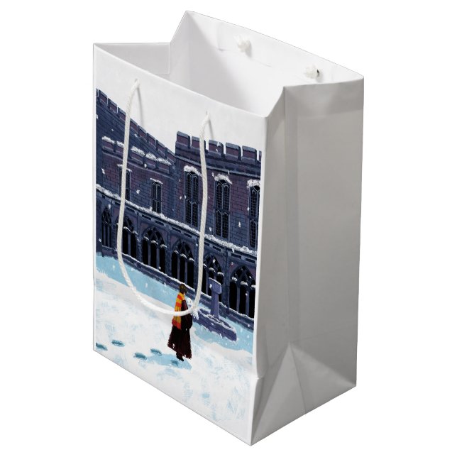 HARRY POTTER™ & Hedwig in HOGWARTS™ Courtyard Medium Gift Bag (Front Angled)