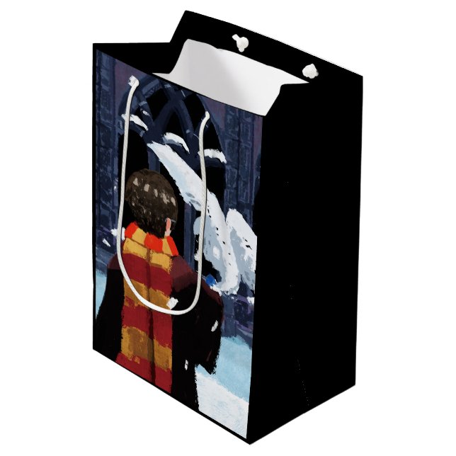 HARRY POTTER™ & Hedwig in the Snow Medium Gift Bag (Front Angled)