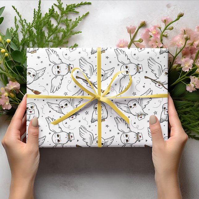 Harry Potter | Hedwig Pattern - Baby Shower Wrapping Paper (Wrapped gift)