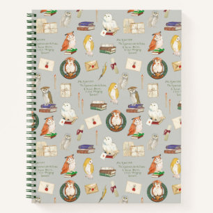 HARRY POTTER™   Owl Letter Pattern Notebook