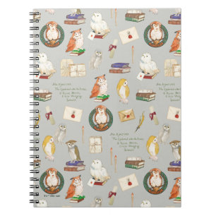 HARRY POTTER™   Owl Letter Pattern Notebook