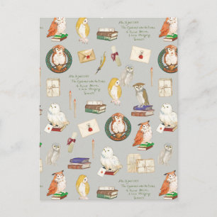 HARRY POTTER™ Owl Letter Pattern Postcard
