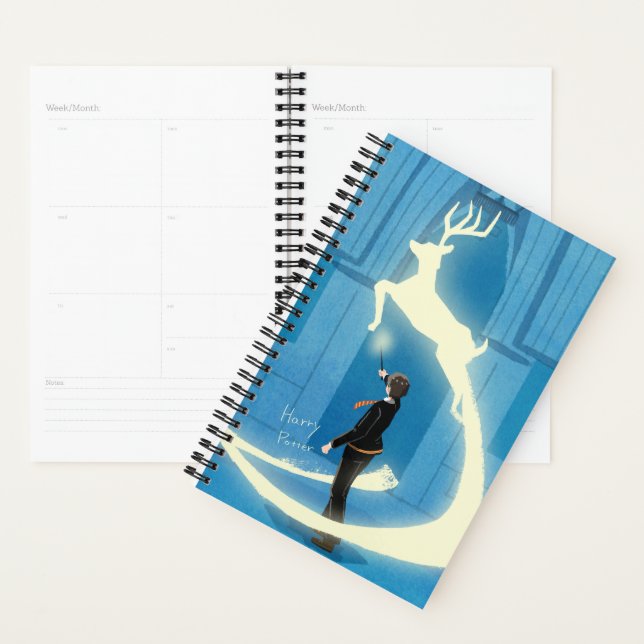 HARRY POTTER™ Patronus Painting Planner (Display)