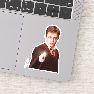 Harry Potter Points Wand