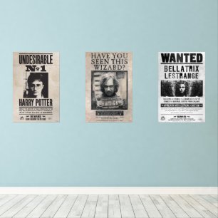HARRY POTTER™ Recherché