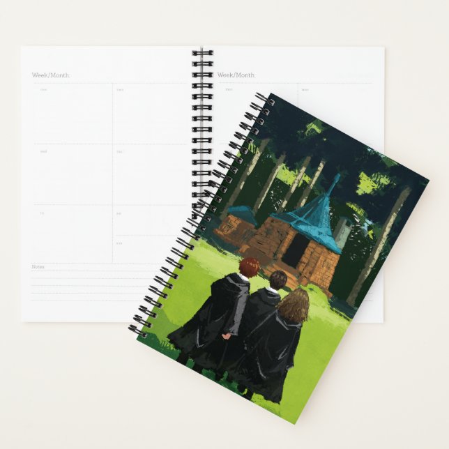 HARRY POTTER™, Ron, & Hermione à Hagrid's Hut (Devant avec enveloppe)