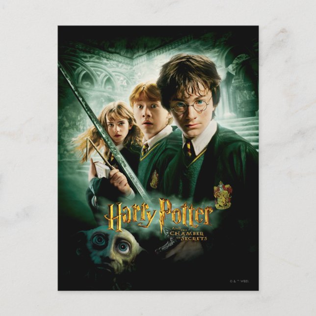 Harry Potter Ron Hermione Dobby Group Shot Postcard (Front)