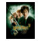 Harry Potter Ron Hermione Dobby Group Shot