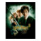 Harry Potter Ron Hermione Dobby Group Shot