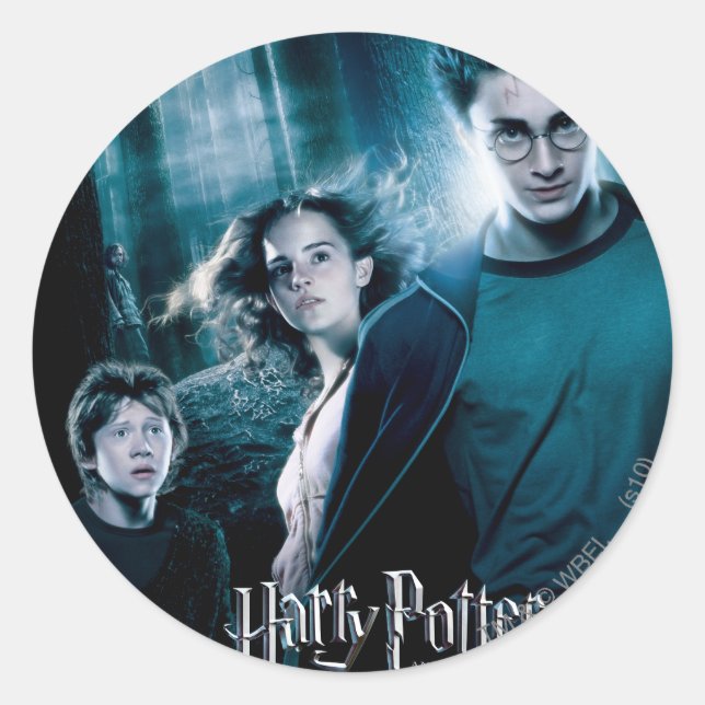 Harry Potter Ron Hermione In Forest Classic Round Sticker (Front)