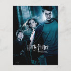 Harry Potter Ron Hermione In Forest