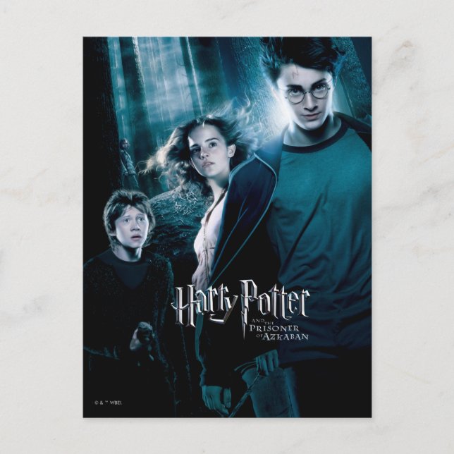 Harry Potter Ron Hermione In Forest Postcard (Front)