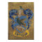 Harry Potter | Rustic Ravenclaw Painting