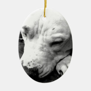 harry potter scar dog white pit bull ceramic ornament