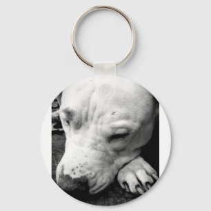 harry potter scar dog white pit bull keychain