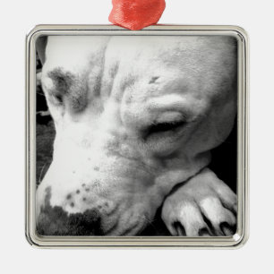harry potter scar dog white pit bull metal ornament