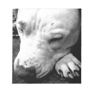 harry potter scar dog white pit bull notepad