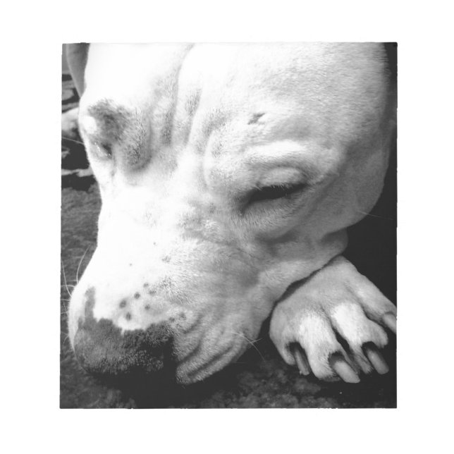 harry potter scar dog white pit bull notepad (Front)